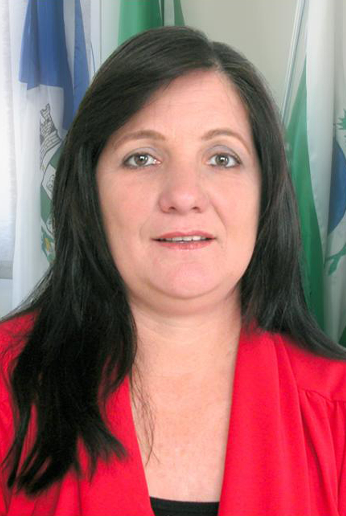 Sueli Civa Bochio - DEM - 2012